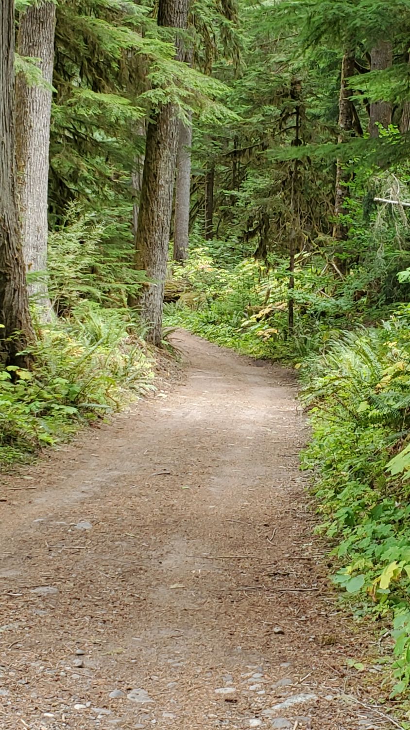 Mount Rainier NP 